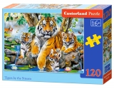 Puzzle Castorland Tigers by the Stream 120 Dielikov