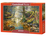 Puzzle Castorland Reminiscence of the Autumn Forest 2000 Dielikov