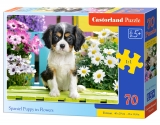 Puzzle Castorland Spaniel Puppy in Flowers 70 DIelikov
