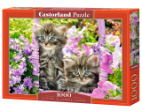 Castorland Puzzle Kitten in Summer Garden 1000 Dielikov