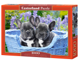 Castorland Puzzle French Bulldog Puppies 1000 Dielikov