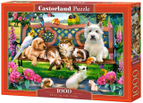 Puzzle Castorland Pets in the Park 1000 Dielikov