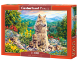 Puzzle Castorland New Generation 1000 Dielikov