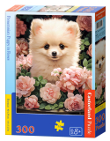 Pomeranian Puppy in Roses
