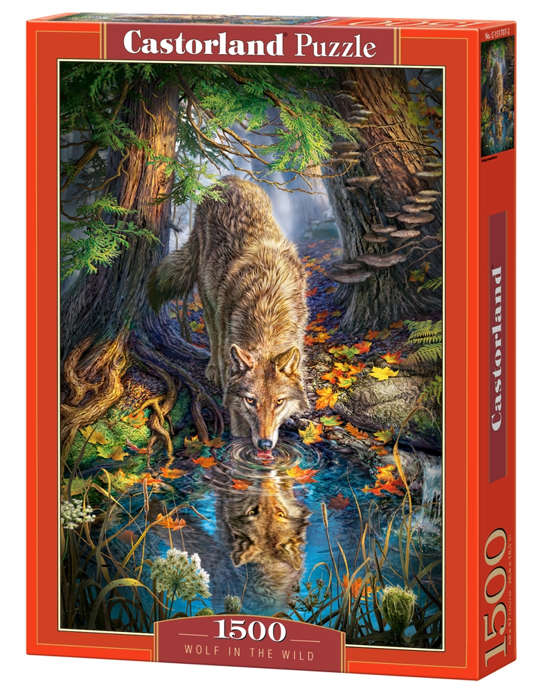 Puzzle Castorland Wolf in the Wild 1500 Dielikov