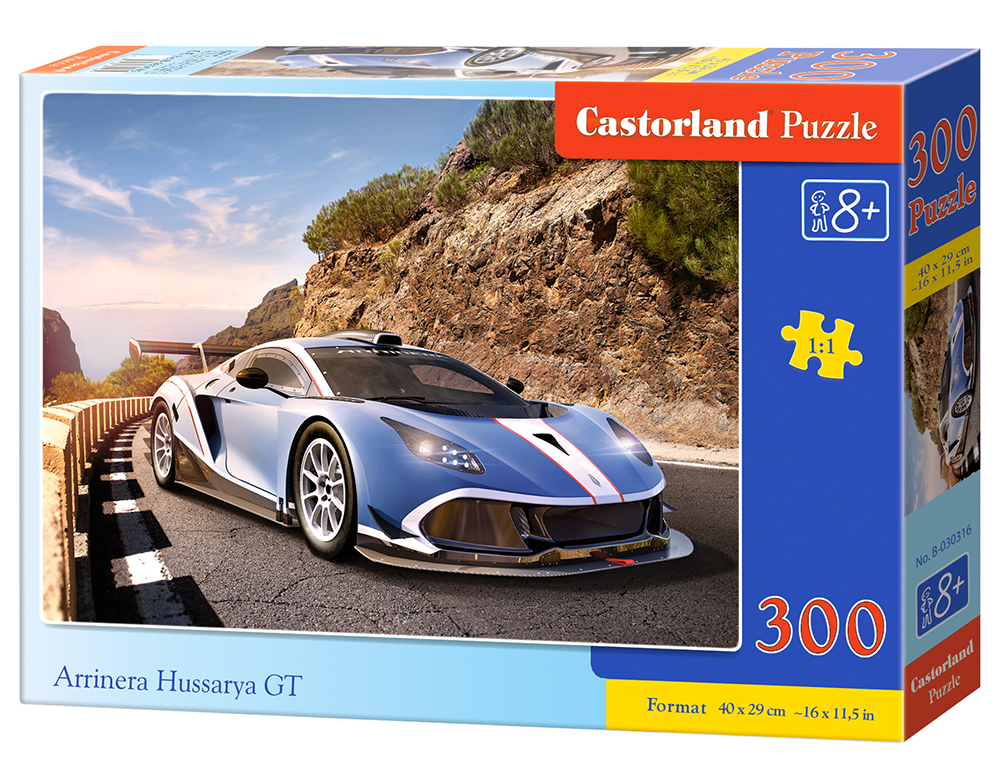 Castorland Puzzle Arrinera Hussarya GT 300 dielikov