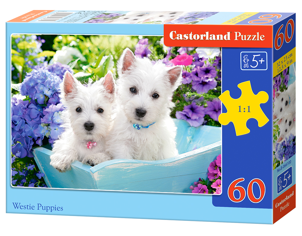Puzzle Castorland Westie Puppies 60 Dielikov