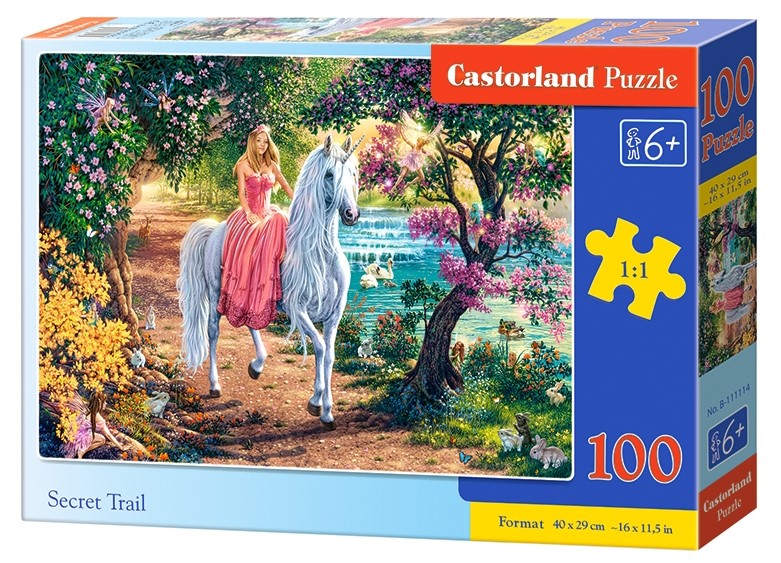 Puzzle Castorland Secret Trail 100 DIelikov