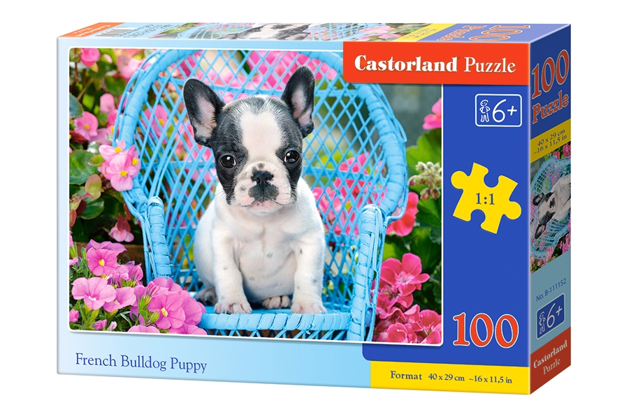Castorland puzzle French Bulldog Puppy 100 dielikov
