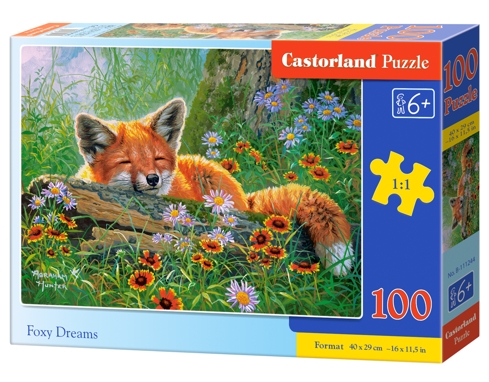 Foxy Dreams