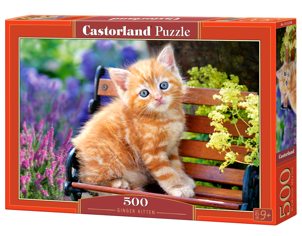 Castorland Puzzle Ginger Kitten  500 Dielikov
