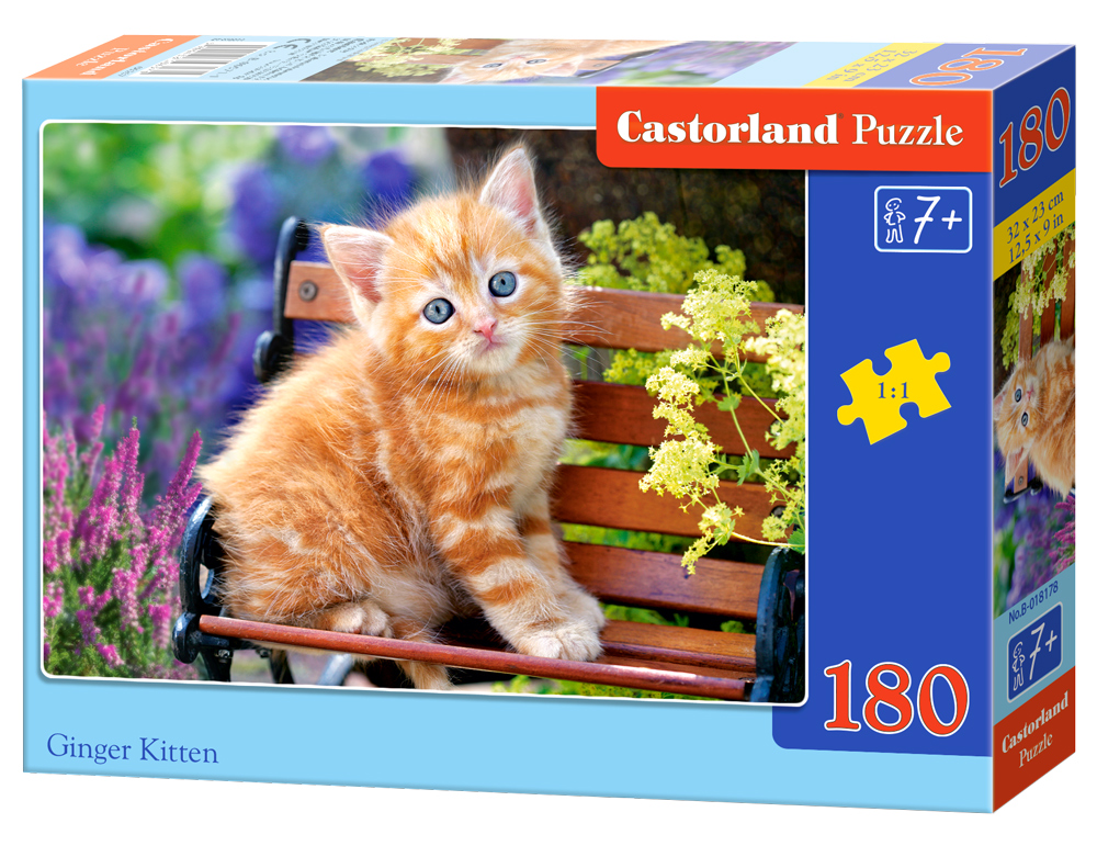 Castorland Puzzle Ginger Kitten 180 dielikov