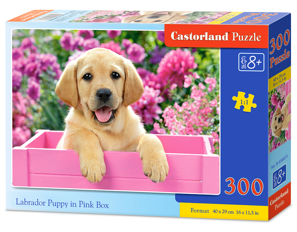Castorland Puzzle Labrador Puppy in Pink Box 300 dielikov