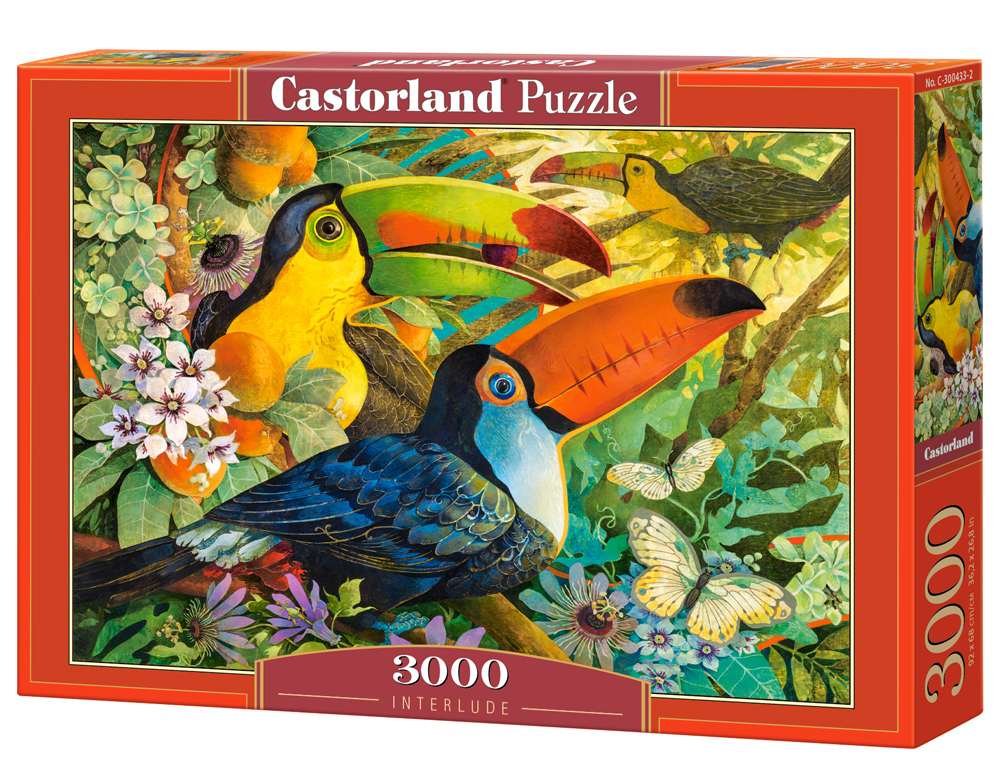 Puzzle Castorland Interlude 3000 Dielikov