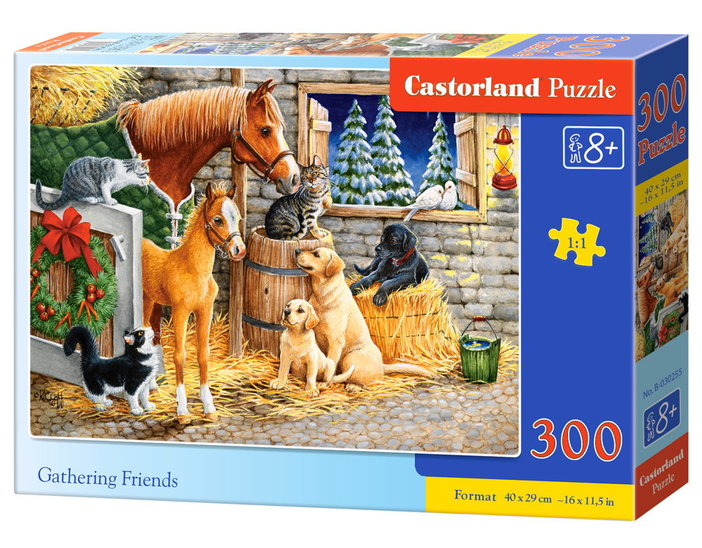 Castorland Puzzle Gathering Friends 300 dielikov