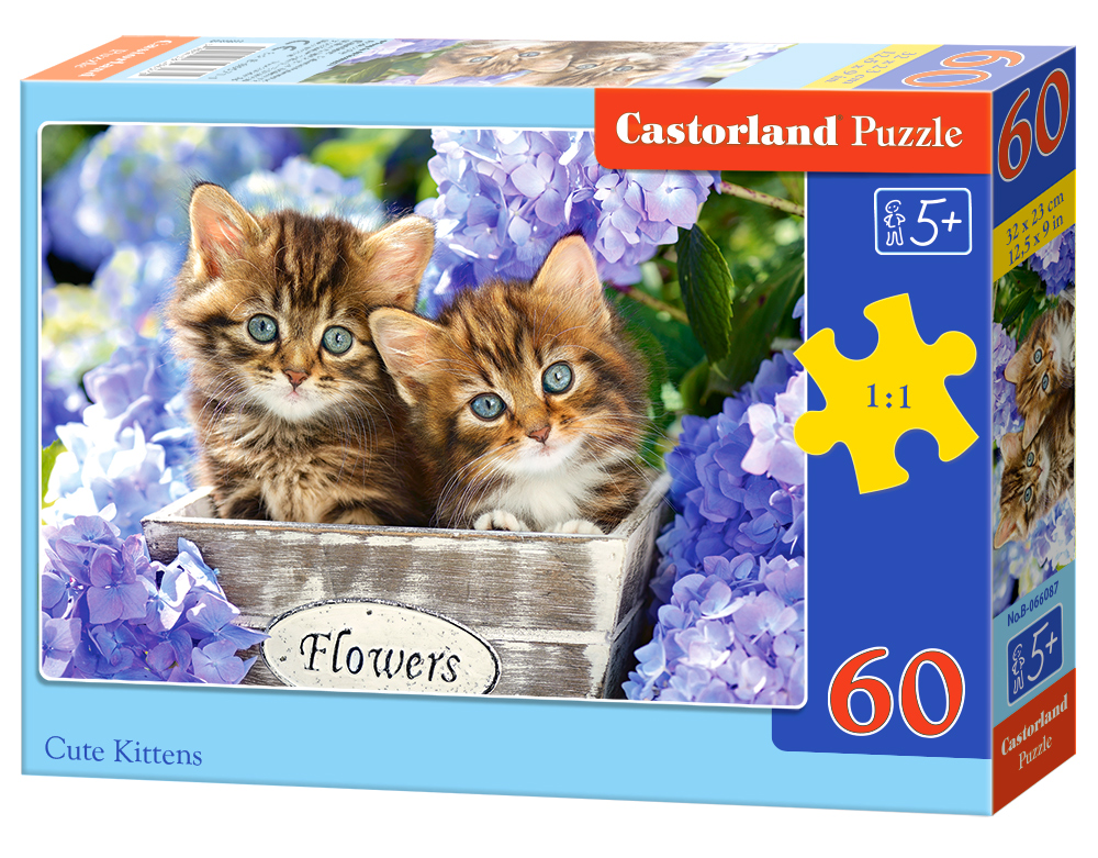 Puzzle Castorland Cute Kittens 60 Dielikov