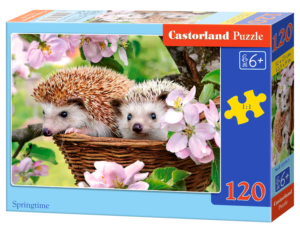 Castorland Puzzle Springtime  120 Dielikov