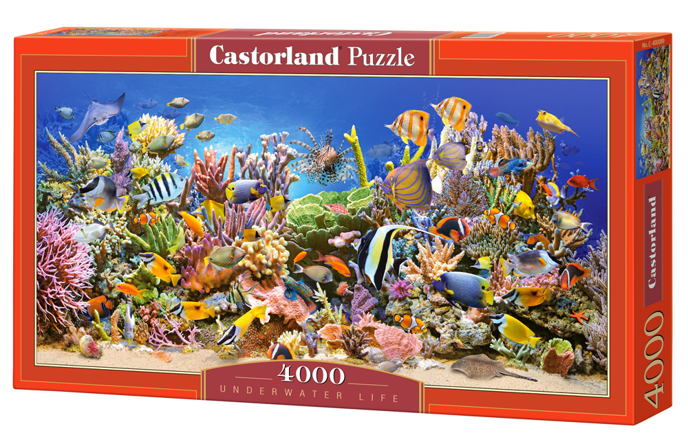 Puzzle Castorland Underwater life 4000 Dielikov